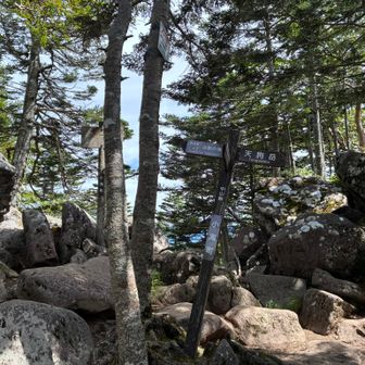中山峠に戻ってきました。道を間違えて一度黒百合ヒュッテ側に戻ってしまってロスタイム😓そしてここからが長かった😩