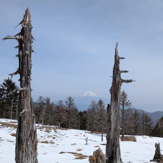 霞の中の富士山も堪能〜✨️
真っ青ではないけど、綺麗な青🟦