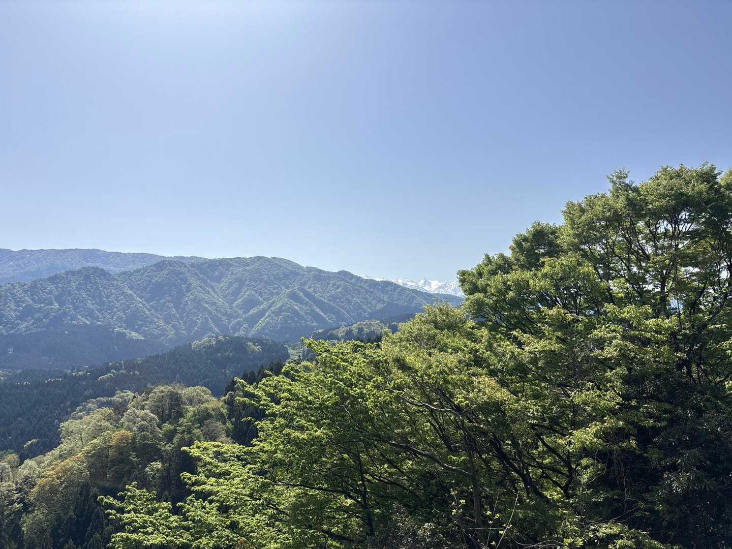 中部北陸自然歩道入口-横尾八幡社-馬鬣山-奥馬鬣山-南保富 往復コースの写真