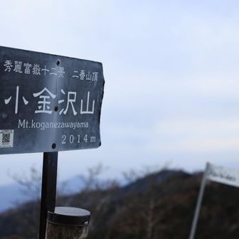 小金沢といえば我々の年代は小金沢くん！