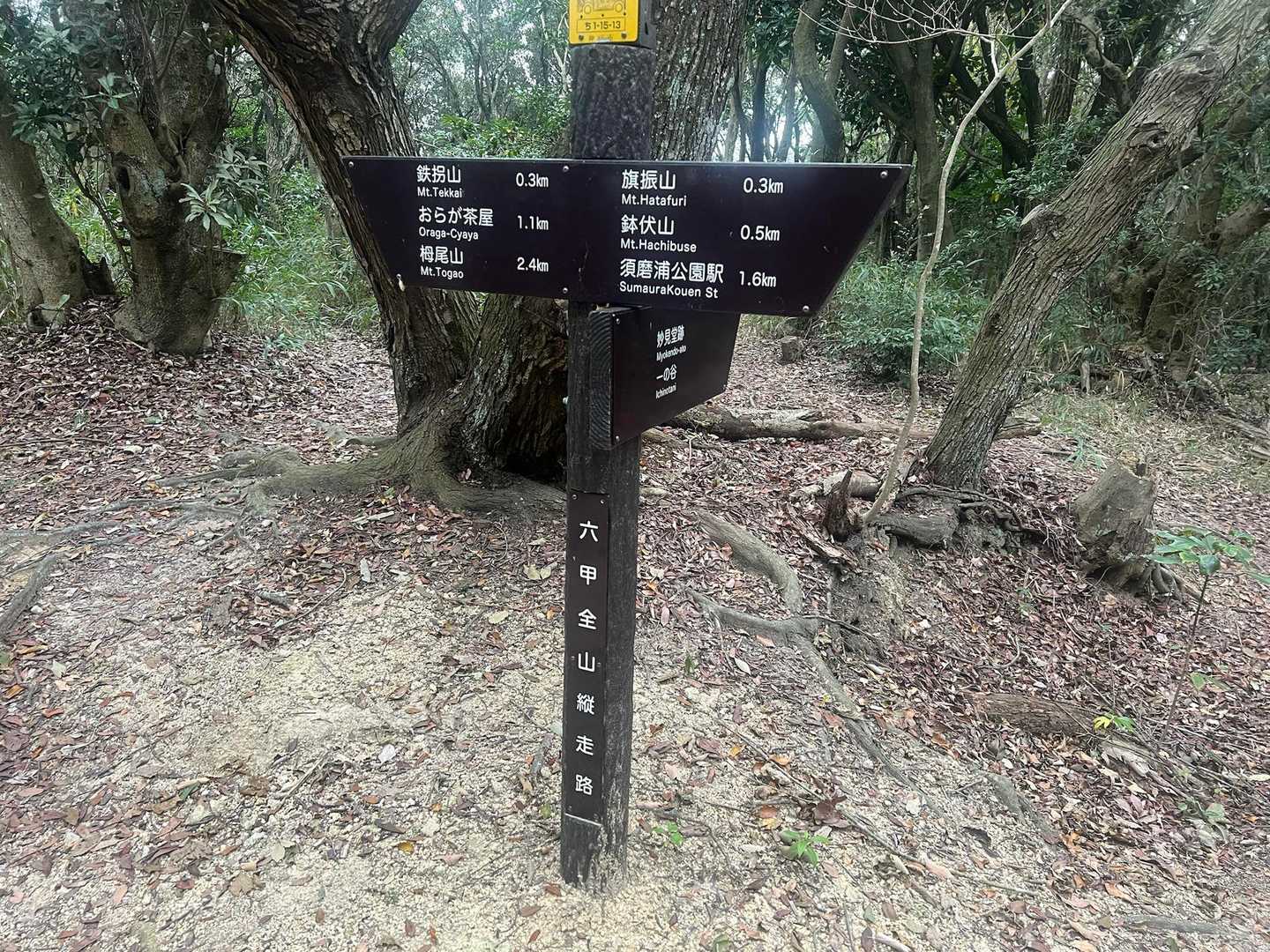 須磨浦公園駅-須磨浦公園駅-須磨浦公園駅前バス停-旗振山- 縦走コースの写真