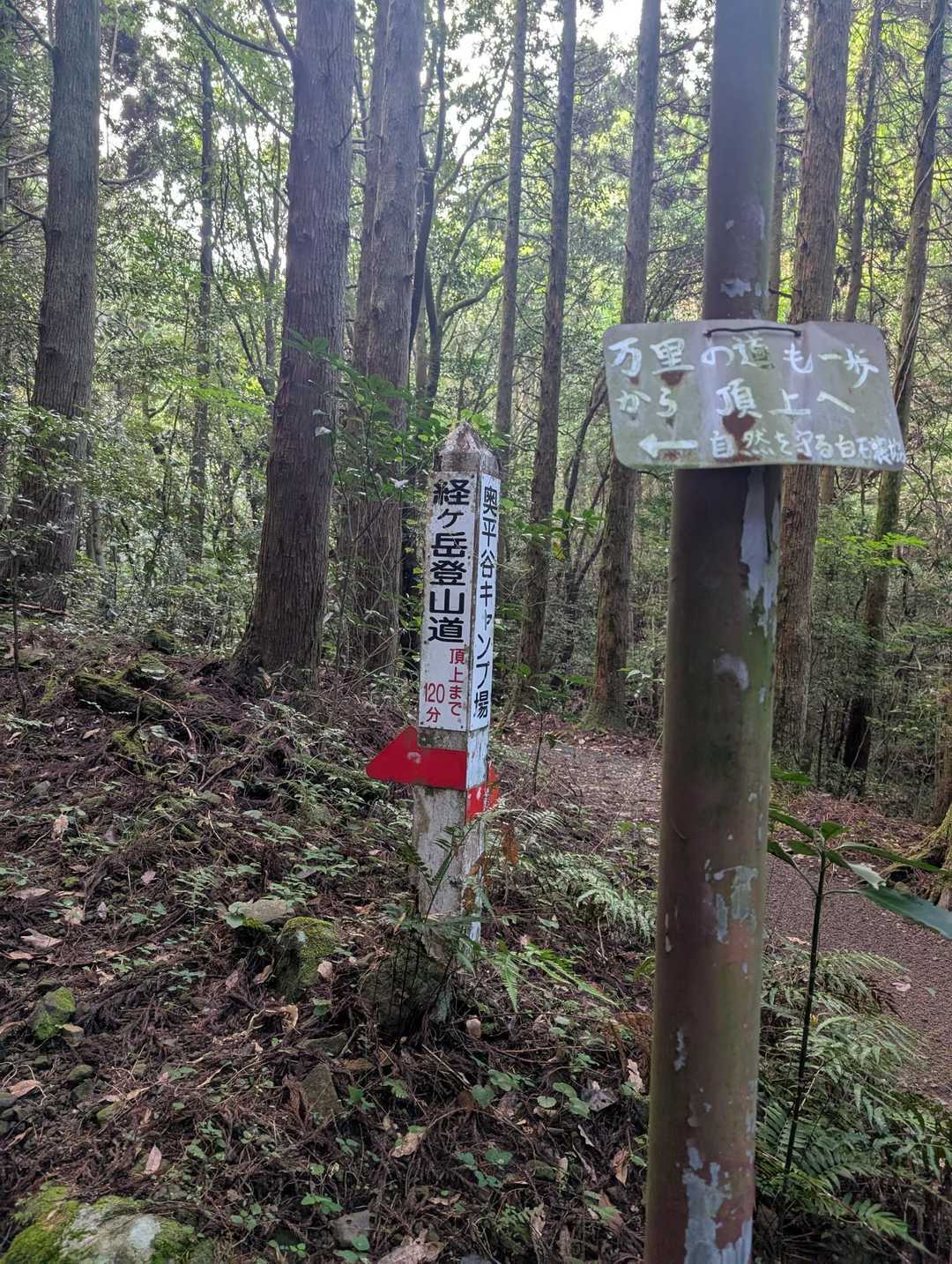 ここから登山道