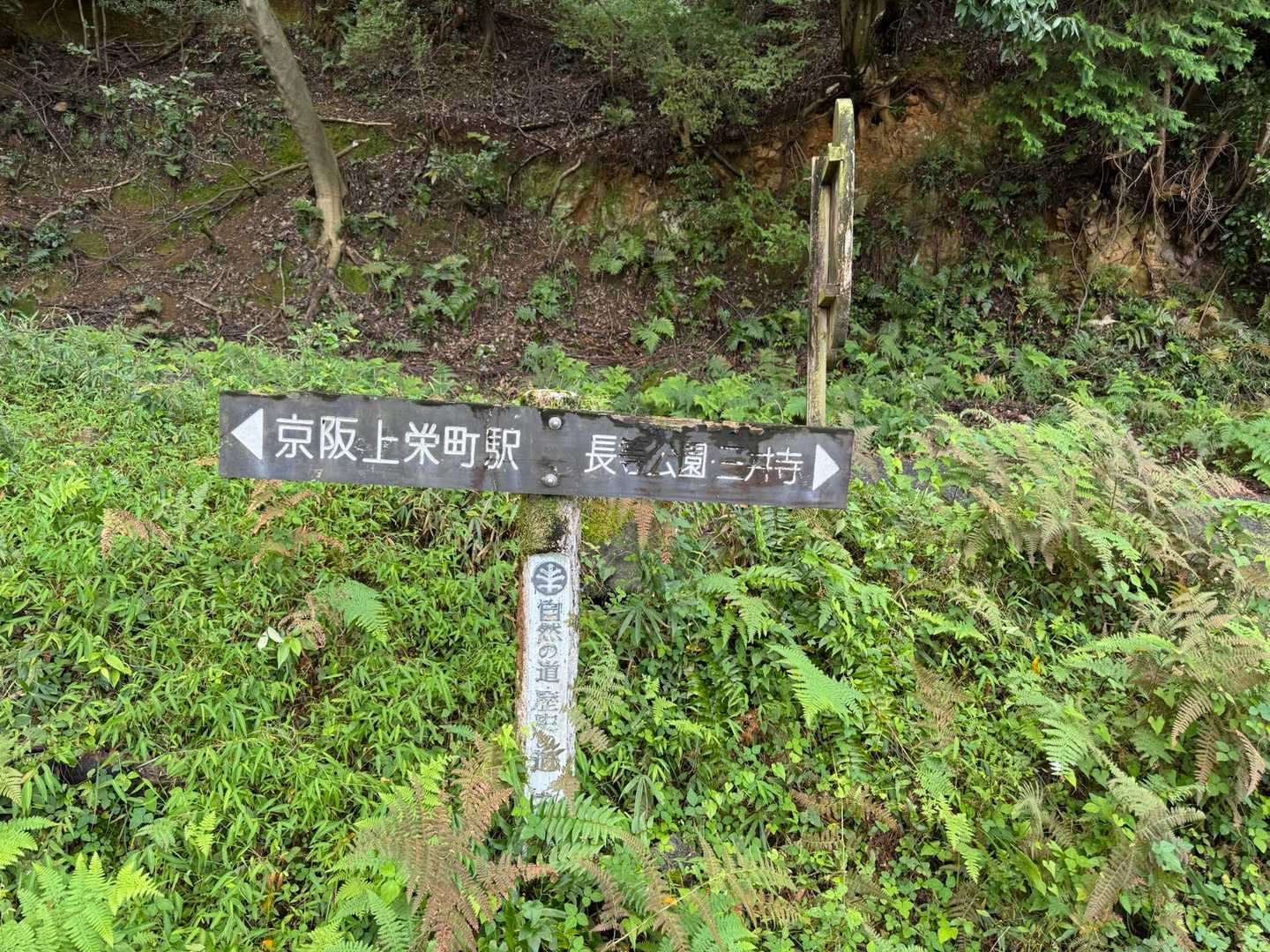 雨上がりでジットリしてた。

上栄町駅からスタートでーす🎒