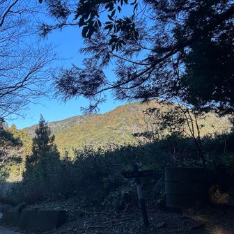 ルートは左ですが
大ベラ山、山頂まですぐみたいなので
左にそれて大ベラ山へ