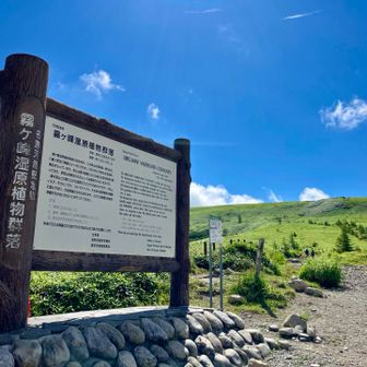 出発