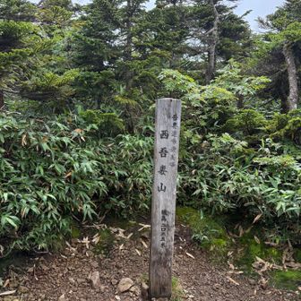 山頂