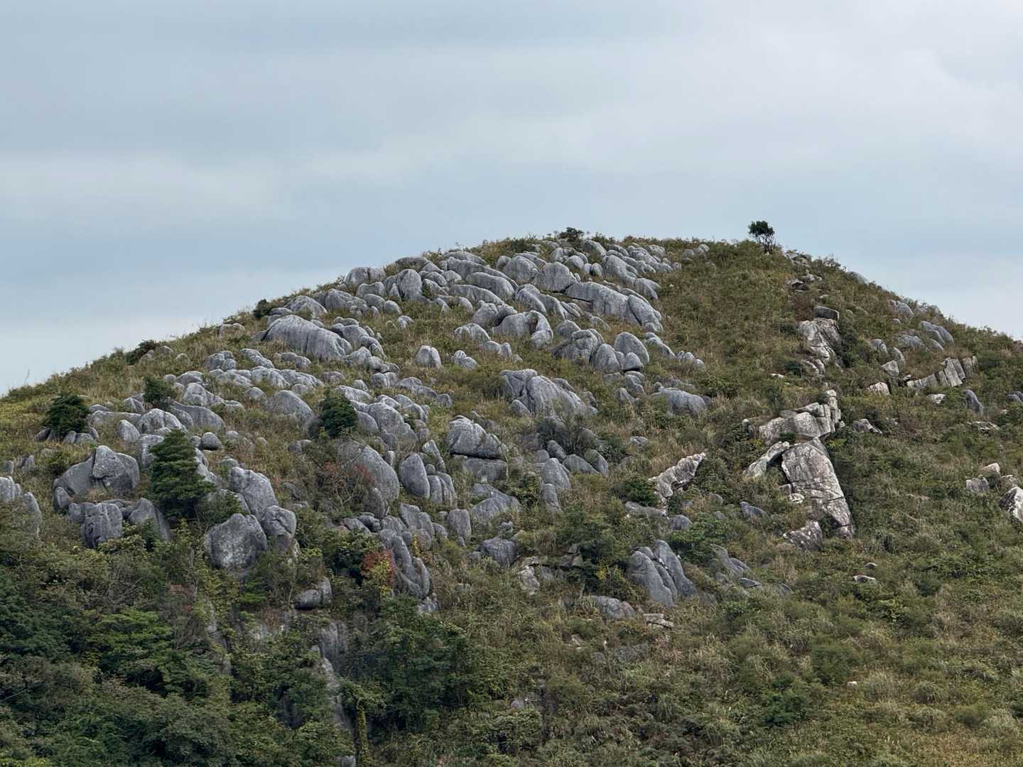 吹上峠-大平山-塔ヶ峯-塔ヶ峯取付-貫山-四方台-偽水晶山 縦走コースの写真