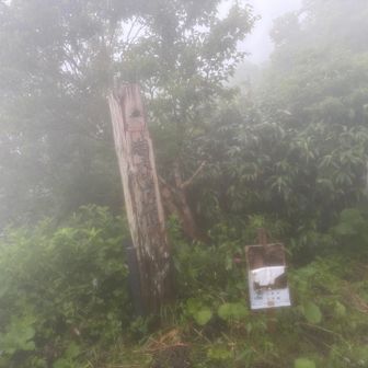 下山してきました！
あ〜暴風すごかった🌀
無事下山出来てよかった😮‍💨