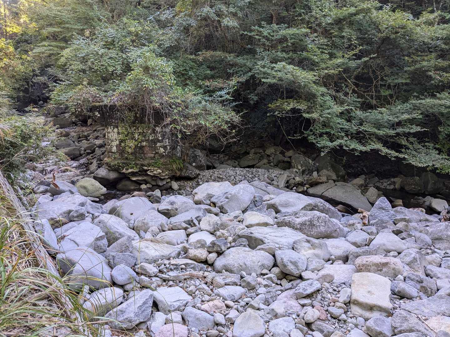 車道を右にそれて山の中へ⛰
左の石垣は橋の土台の名残？