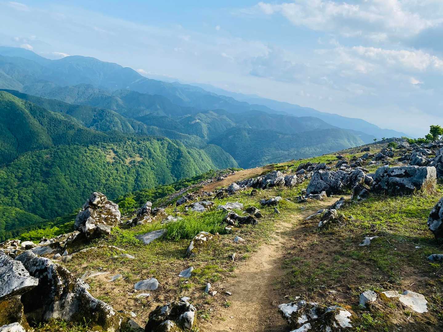 今畑登山口-笹峠-霊仙山最高点 往復コースの写真