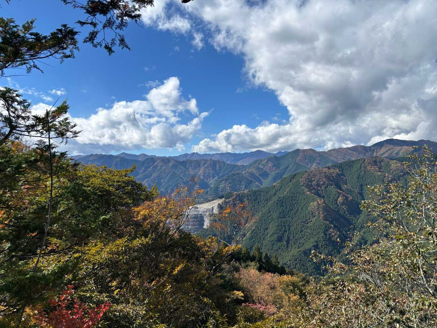 正丸駅発着｜五輪山・伊豆ヶ岳・大蔵山周回コースの写真