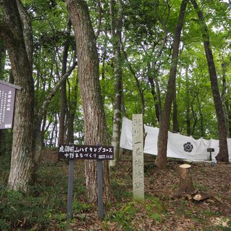 虎御前山縦断、案内板多数、迷うのは不可能