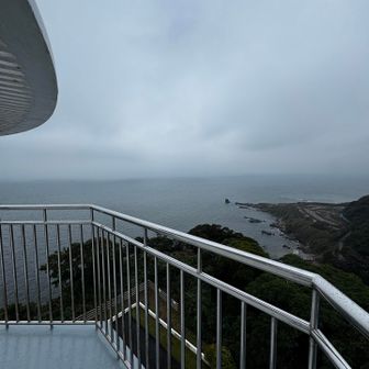 登りました！