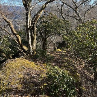 ザンザ洞キレット付近は敢えて偵察せずにお楽しみ物件とする🧗‍♀️同角山稜をユーシンロッヂへ降る👍バカ尾根と同じくらい特徴を覚えて暗くても歩ける様になりたい👀まだ時間が早いのでゆっくり観察しながら下山