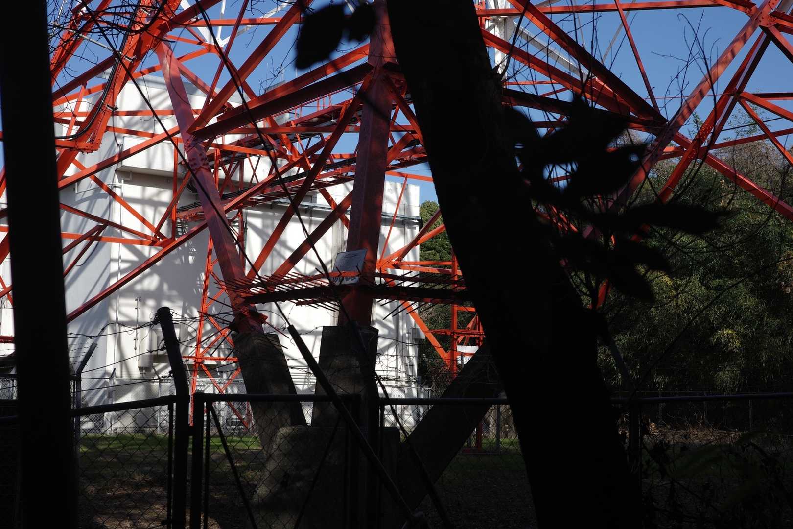 裏にきました。