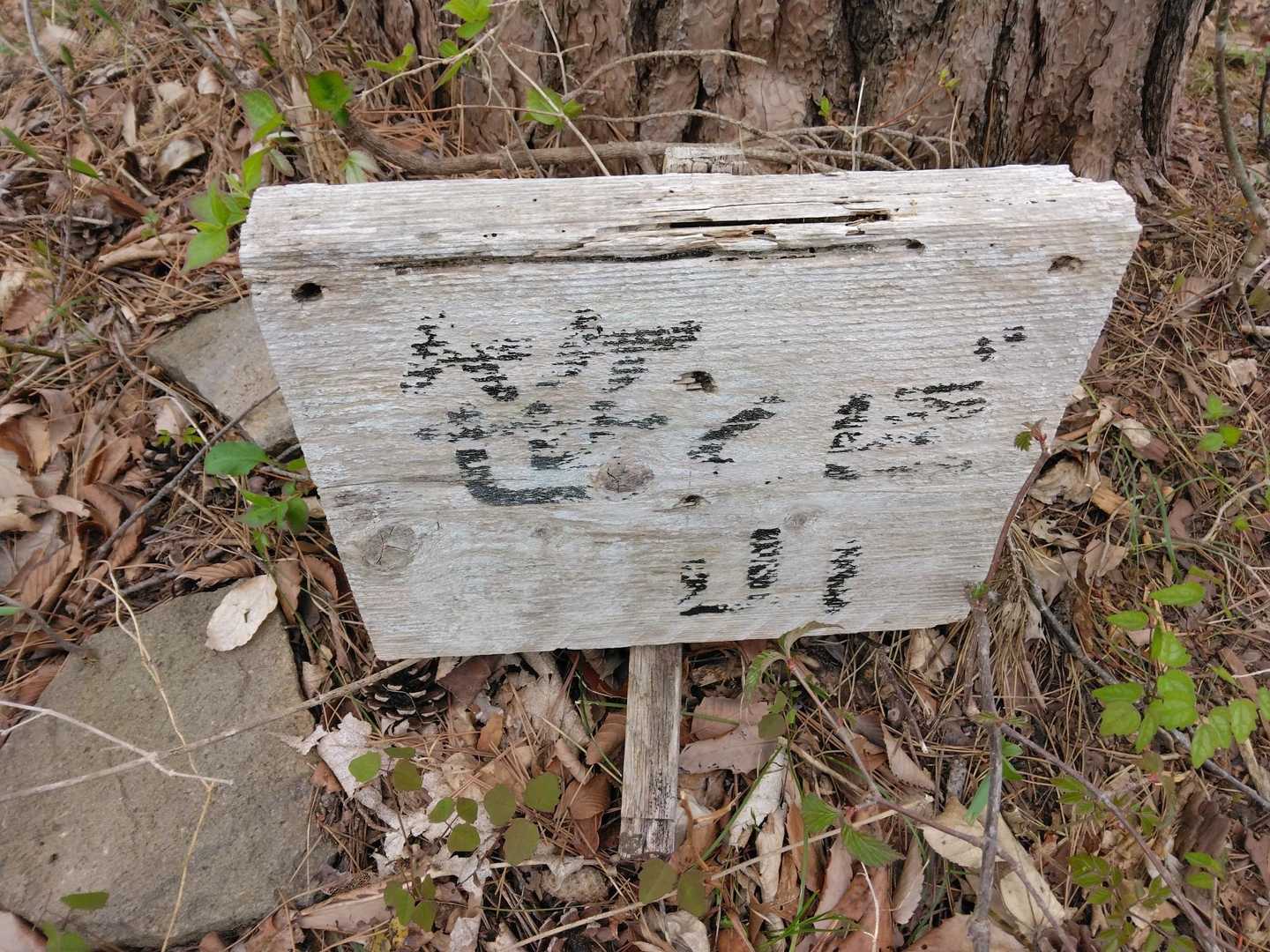 笹くぼ山💖山頂到着🙌