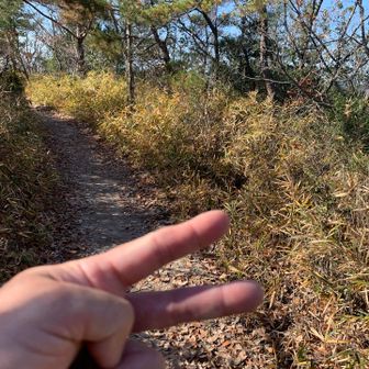 ⑦座
山頂プレートわからず🤷‍♂️