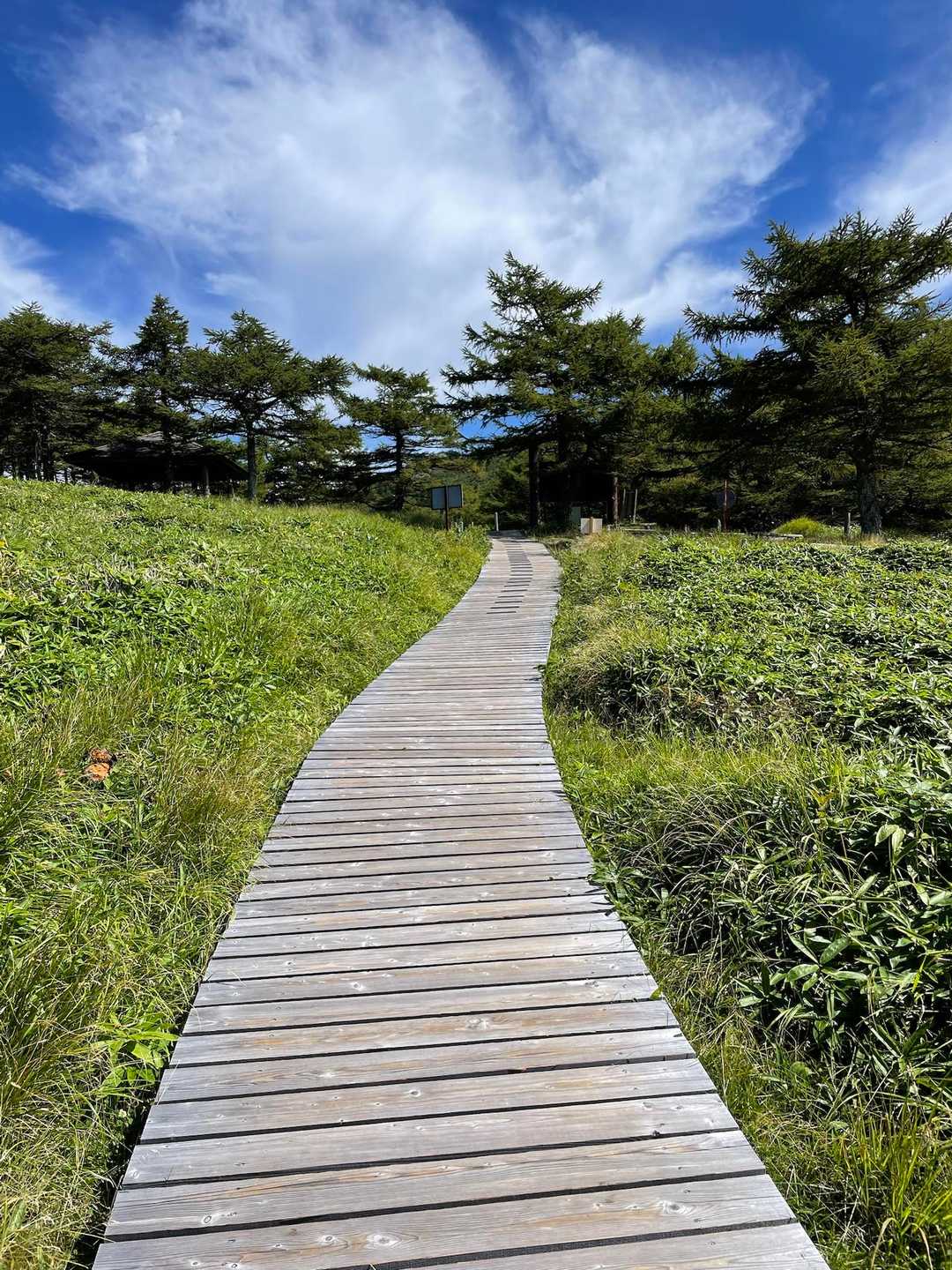 池ノ平湿原入口-雷の丘-雲上の丘-見晴岳-三方ヶ峰-鏡池 周回コースの写真