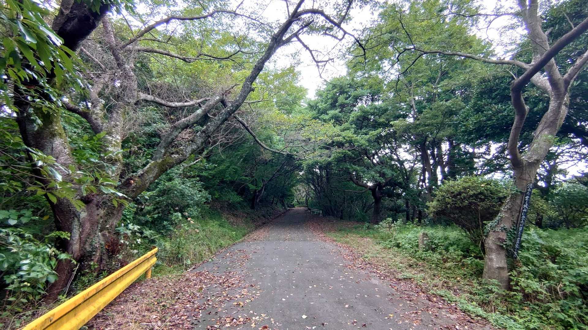 陶の道・若山城登城のみち入口-若山 往復コースの写真