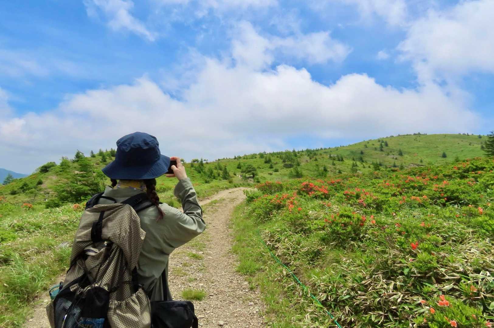 鉢伏山-前鉢伏山 周回コースの写真