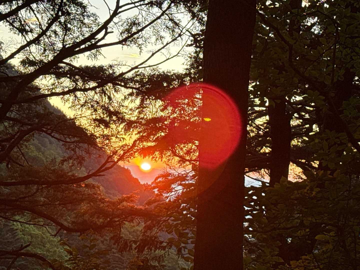 ヘッデンスタートでやっと朝日が昇った🌅