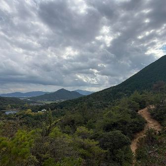 前を見たら三上山！
右を見たら琵琶湖から比良山系まで見渡せます。
風も抜けて最高に気持ちいい！
