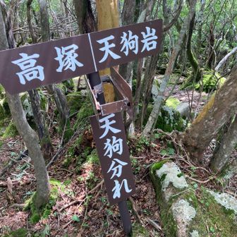 分岐へ戻り、天狗岩へ