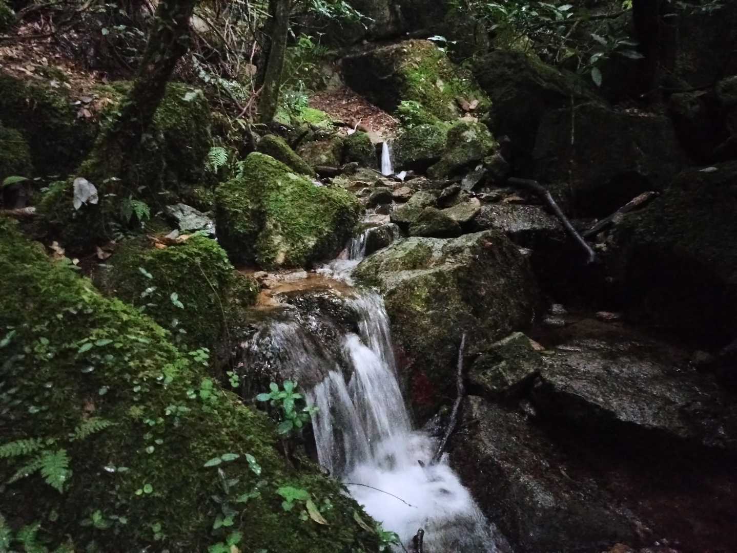先日の雨で沢の水量が多い