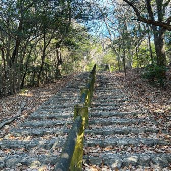 有名になる前にその兄弟が駆け上がったこの階段。
彼等が東京に行ってからもトレーニングでよく登る愛宕山の階段を登って妄想するミーハーっぷり😎