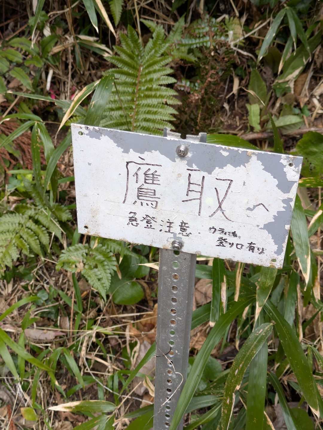 鷹取山 周回コースの写真
