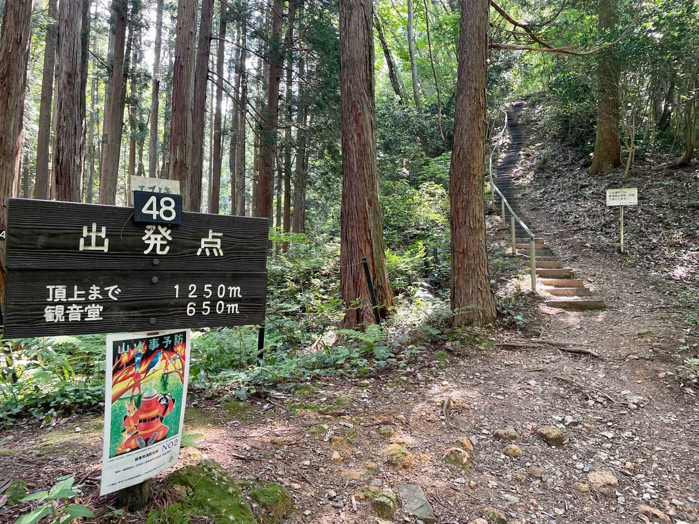 立派な看板。