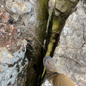 完全に剥離している。足が🦵すくむ😨