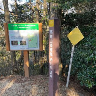 なんか、嬉しかった