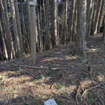 花の木の三角点▲