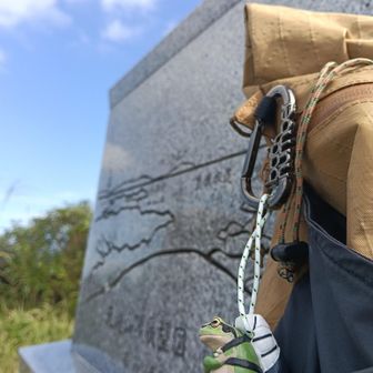 今回からお仲間になった
無事カエルくん