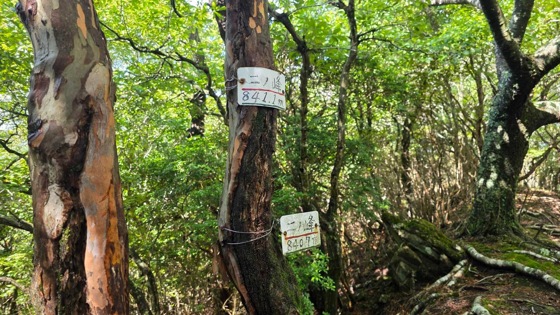 二ノ峰到着
