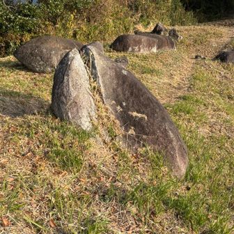 イルカ岩と命名⁈