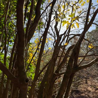 木漏れ日が気持ちいい❗️