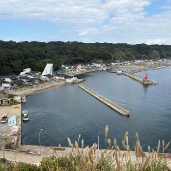フェリー乗り場と旅館がよく見える👀