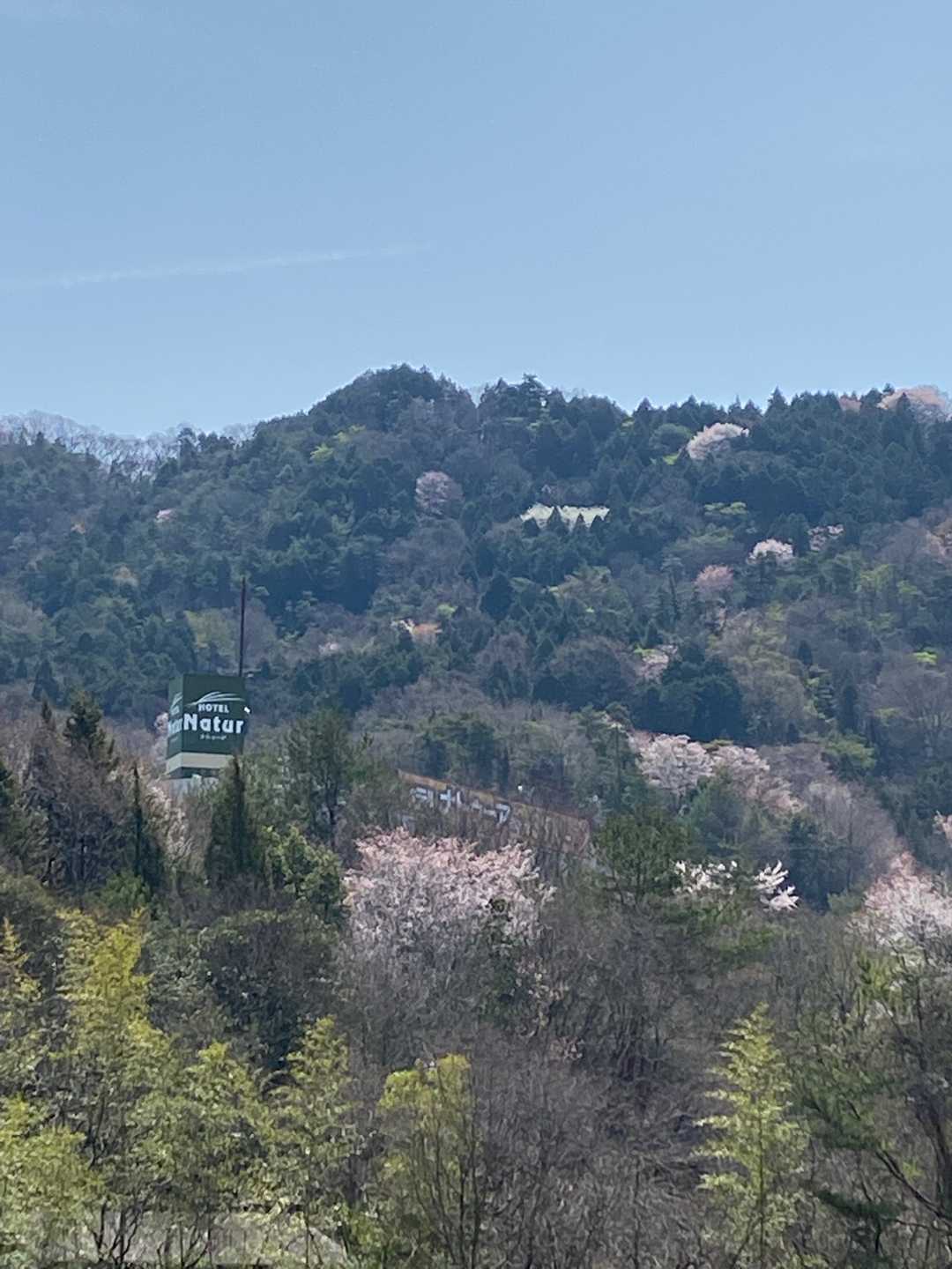 山頂を振り返って