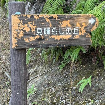 ここはまだ行ってないな