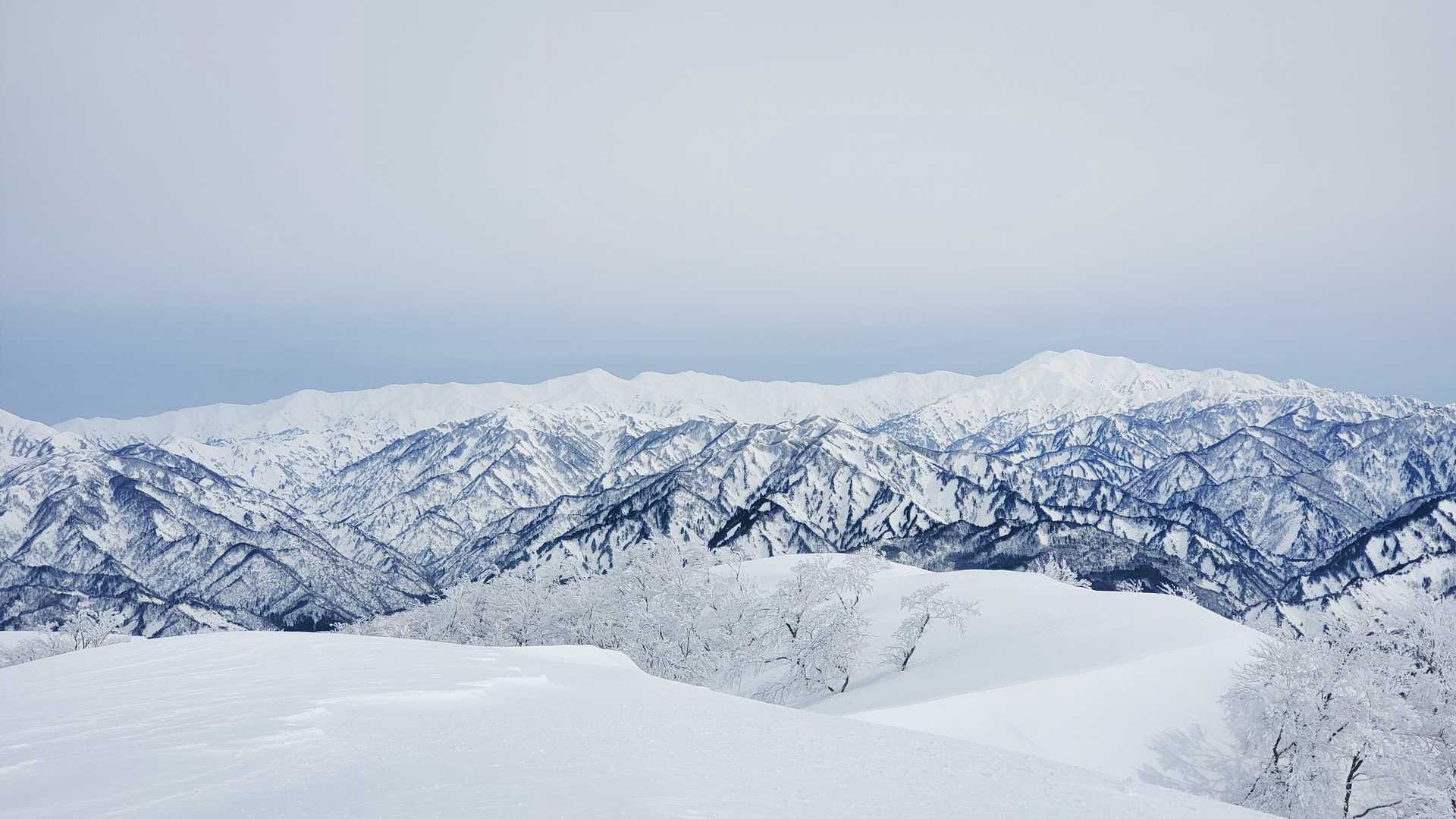 松平山からは、二王子岳と飯豊連峰がパノラマで見渡せる。
来て良かった❗