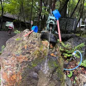 寝起きでまだやる気ない龍氏🚰🐲