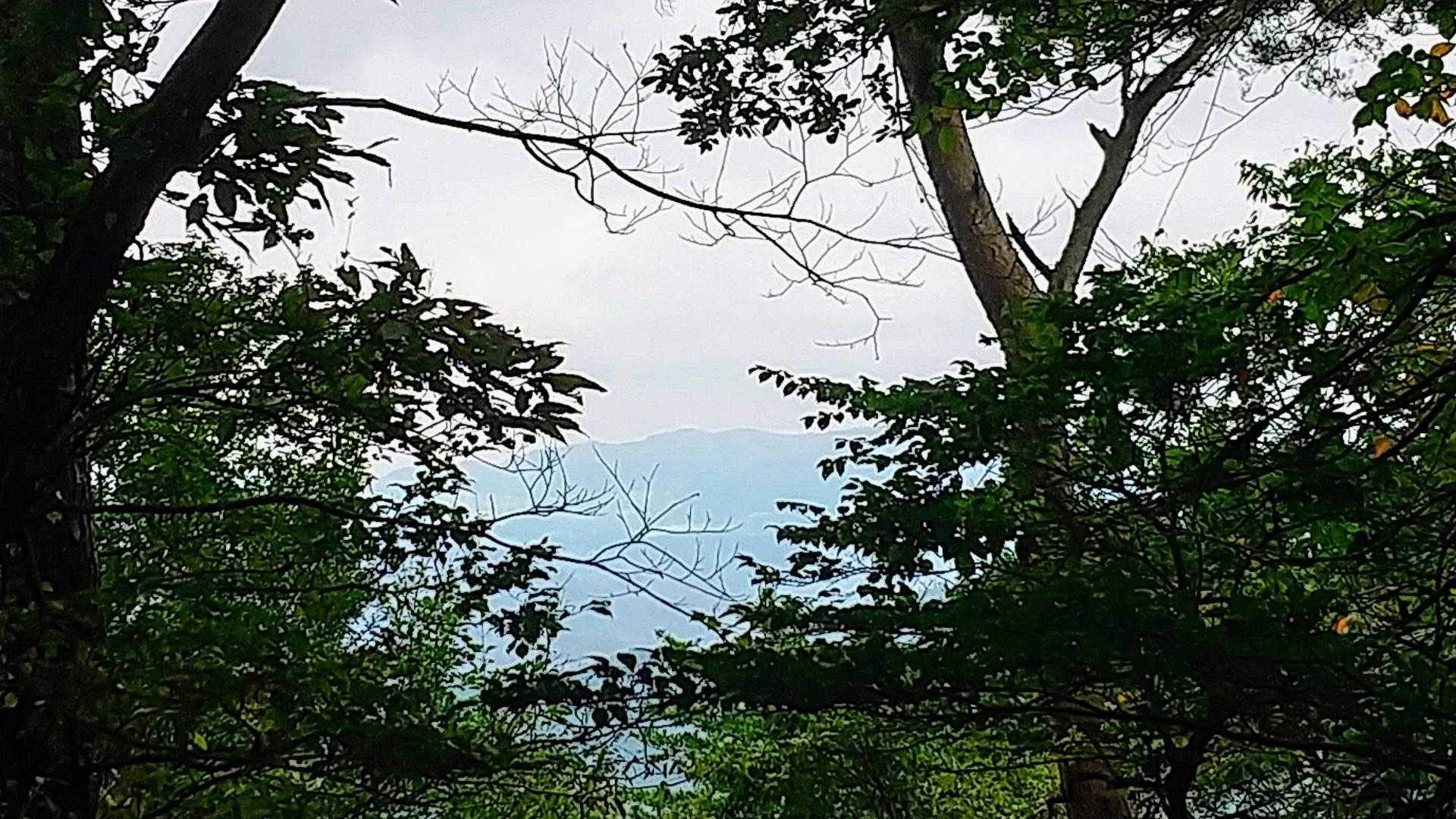 深山