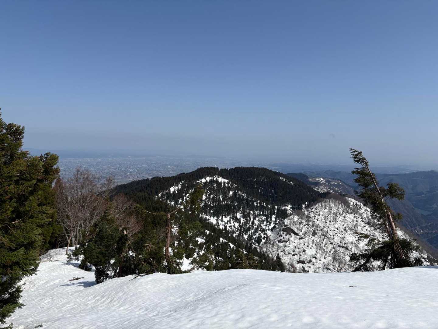 扇山-赤祖父山 往復コースの写真