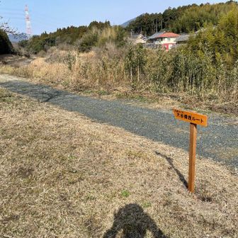 大谷はコース大谷橋西ルートで入山する。駐車場手前の堤防道路を下る。