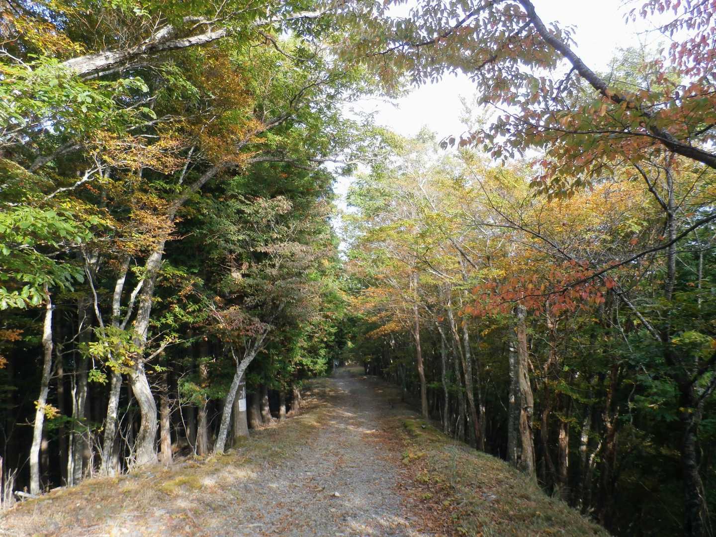 神社から下る