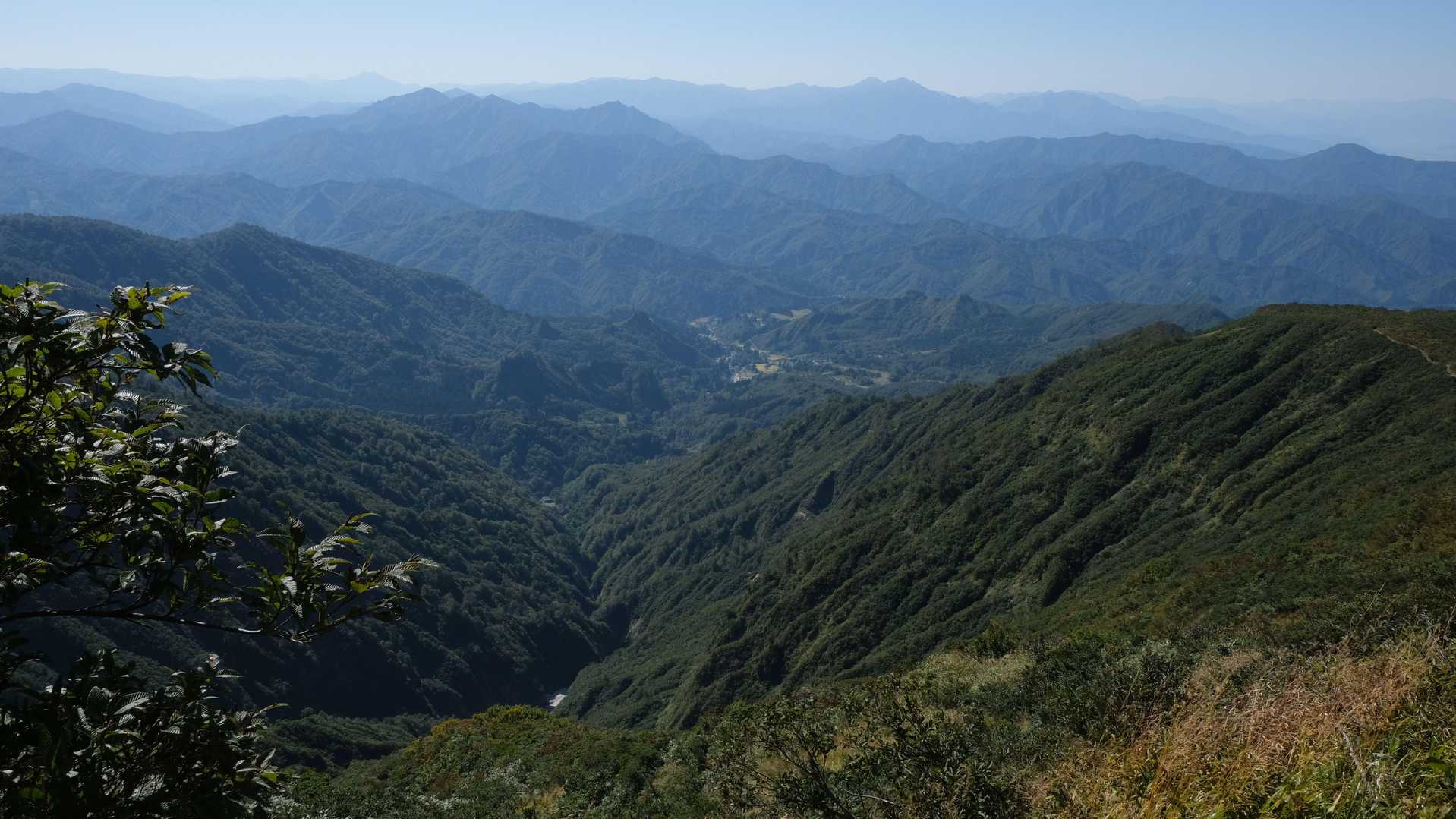 大白川の集落が見える