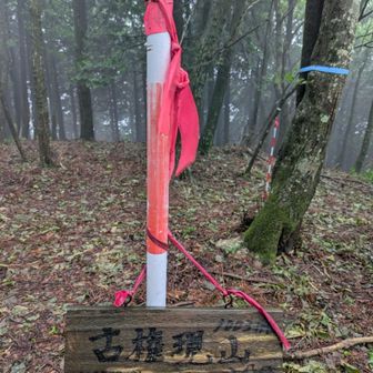 展望はないが、尾根をひたすら歩いた先に古権現山