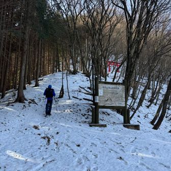 熊🐻います‼️の張り紙にビビリながら歩を進めます🥾